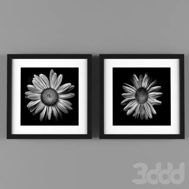 Frame paint flower – 214917