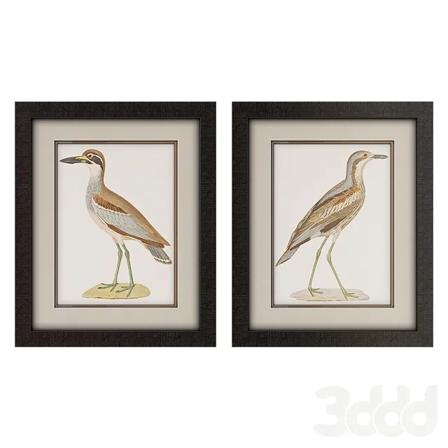 Framed Seabird Wall Art Collection – 214935