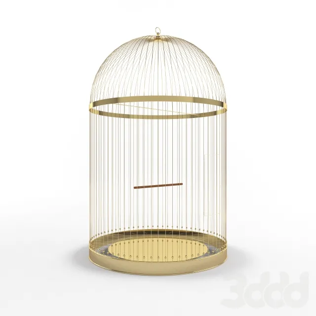 Golden cage – 215571