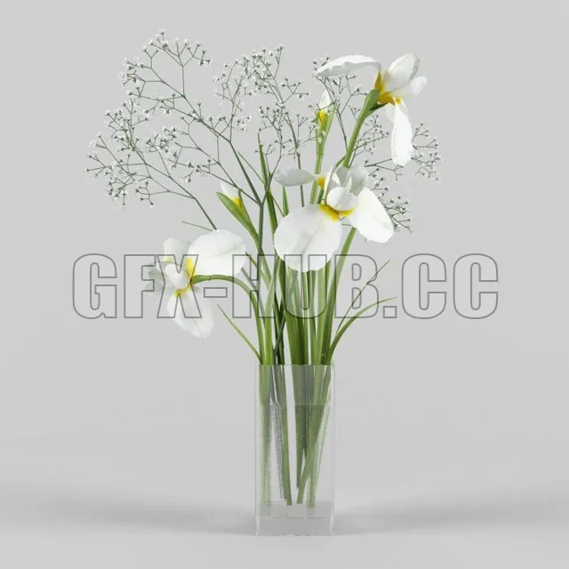 Irises and gypsophila in a vase – 217301