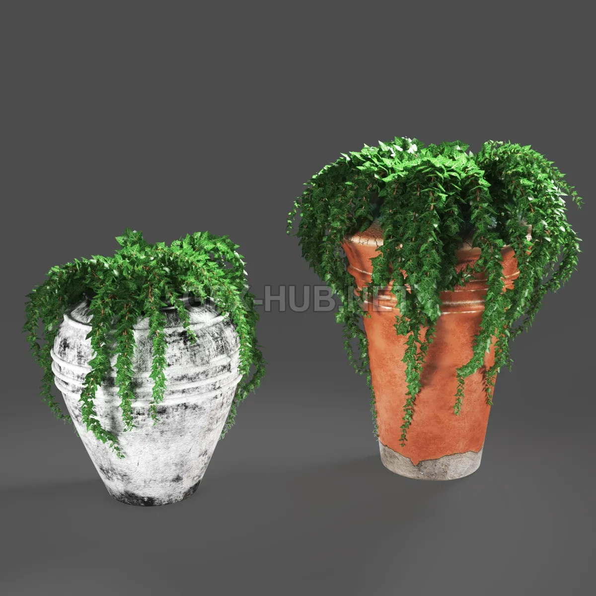 Ivy In Pots 3D MODEL – 217369