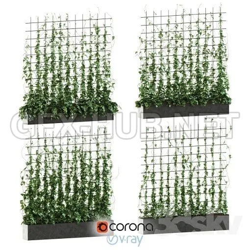 Ivy on the grid 3d Model – 217371