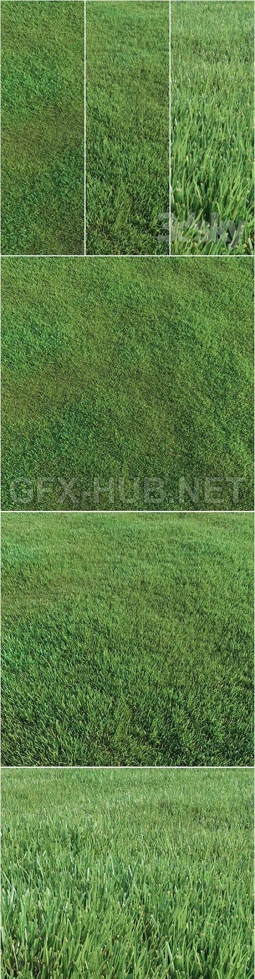 Lawn grass (VrayCorona) 3d Model – 218655
