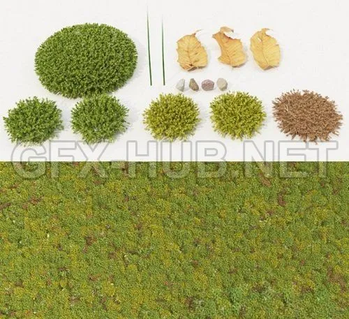 Moss 3d Models Collection – 220873