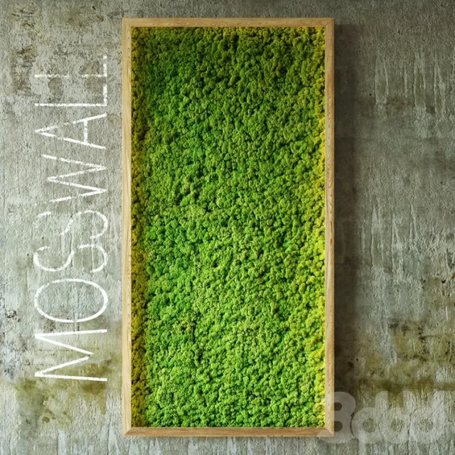 Moss wall – 220879