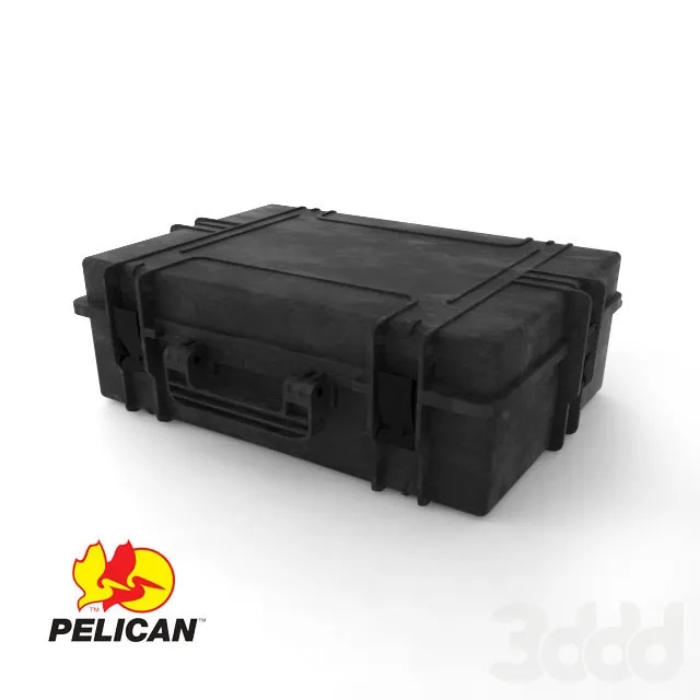 Pelican Case – 222251