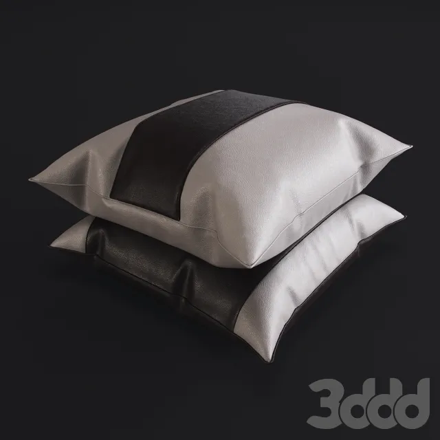 Pillow_Leather_S2A – 222473
