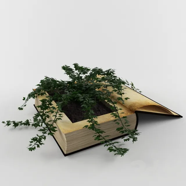 Plant in book – 222577