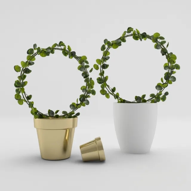 Plantagens – 222597