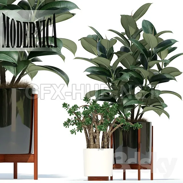 Plants collection 72 Modernica Pots – 222631