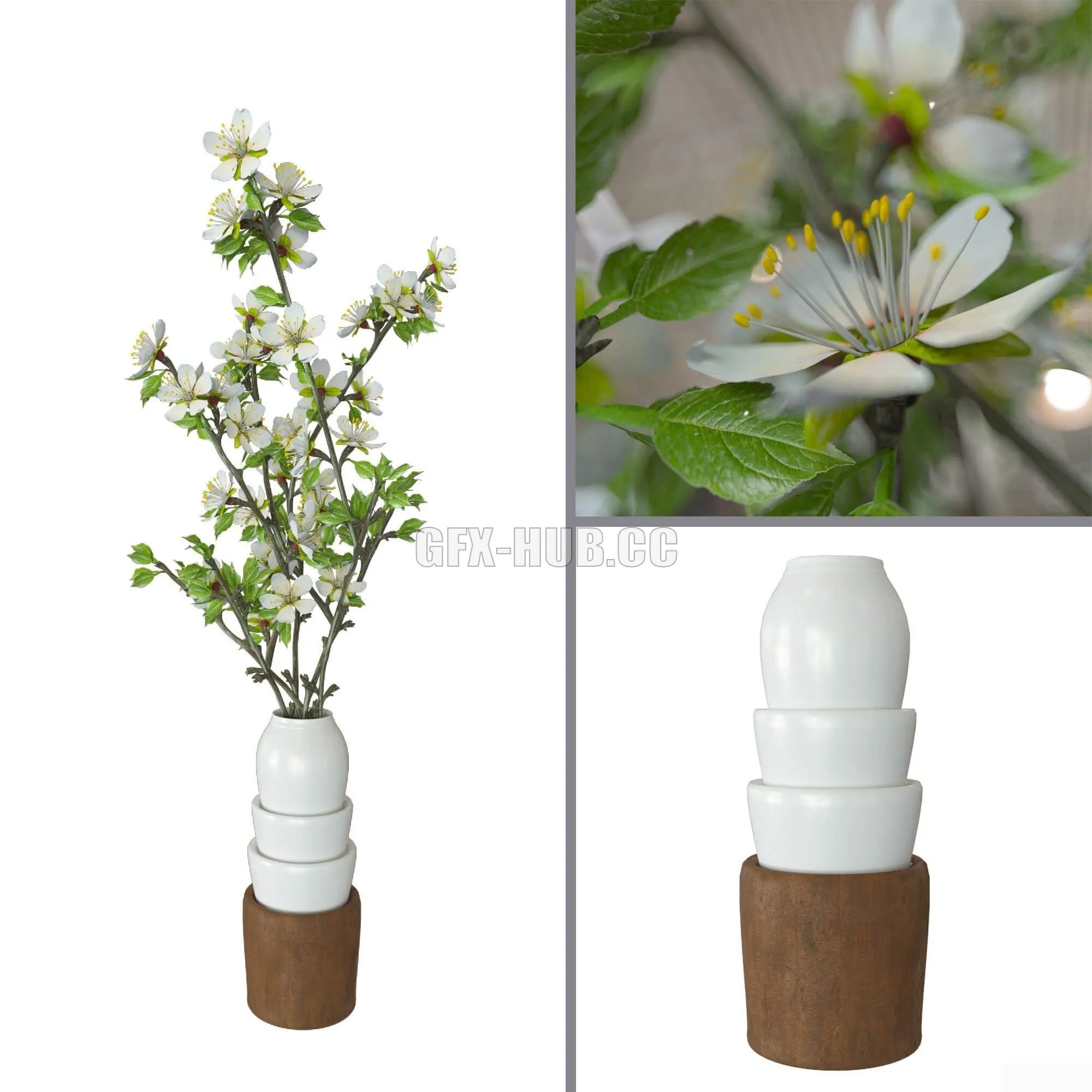 Prunus domestica vase – 223279