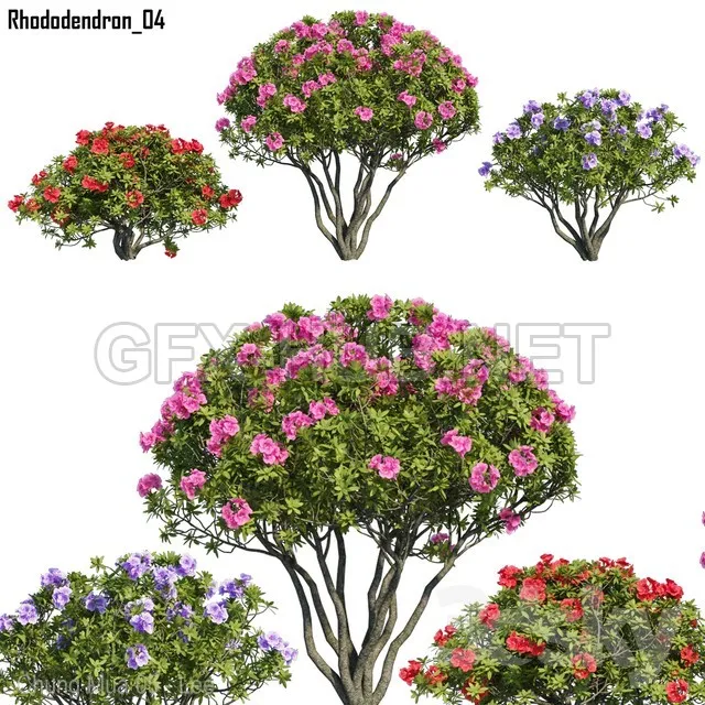 Rhododendron 04 (maxfbx) – 223897