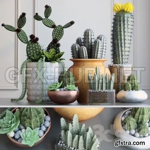 Set with Cactuses 3d Models – 224879