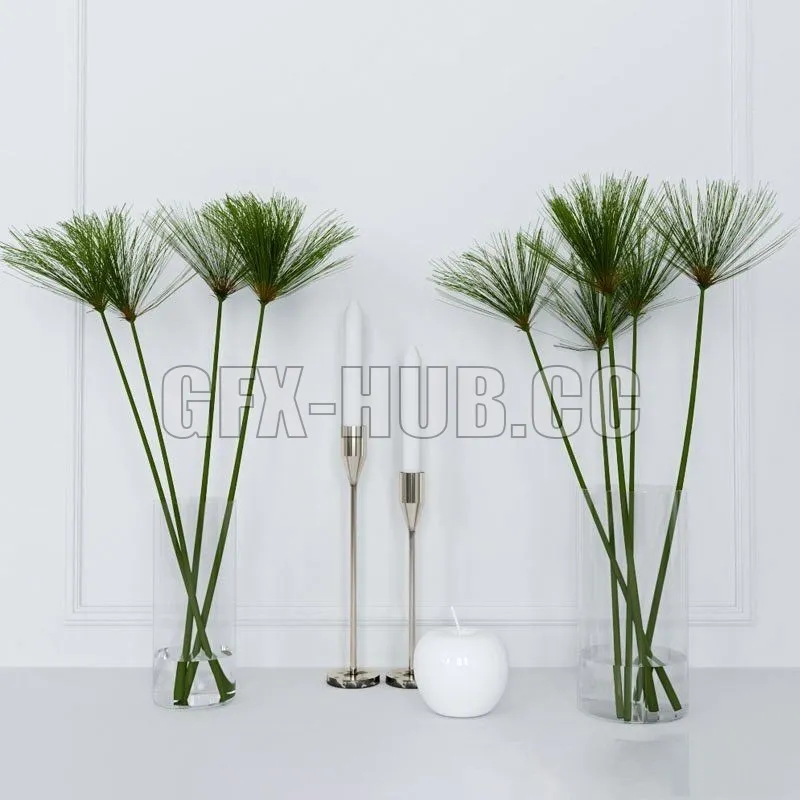 Shoots of papyrus in a glass vase – 225035