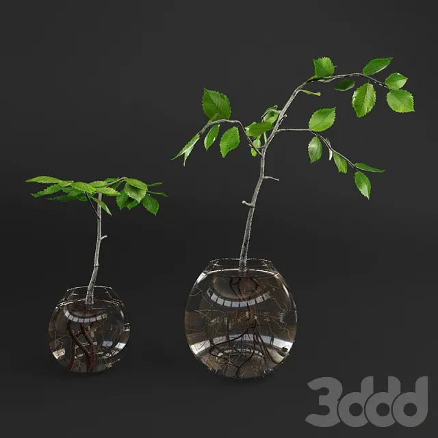 Small plant in glass vase – 225403