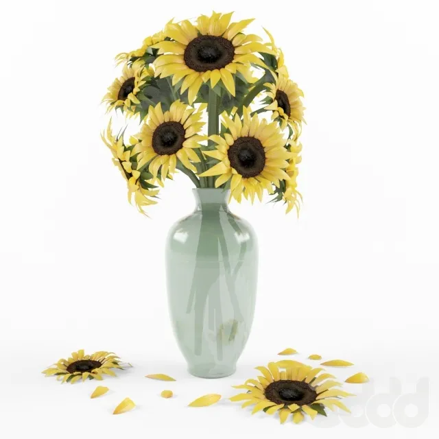 sunflower – 226513