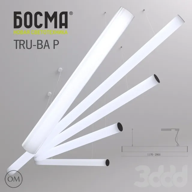 TRU-BA P BOSMA – 227533