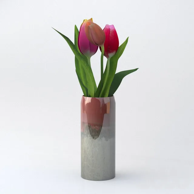 tulipinvaze – 227581