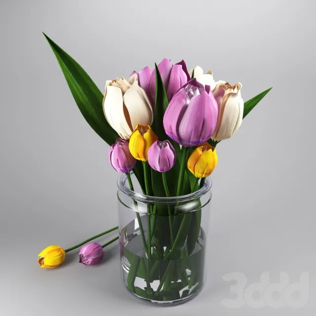 tulips – 227583