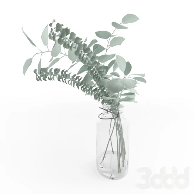 Vase with eucalyptus – 227879