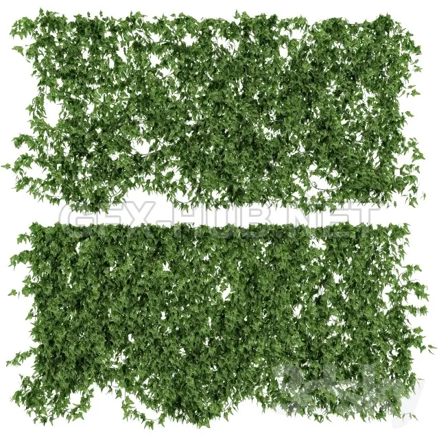 Wall of ivy leaves v2 – 228393