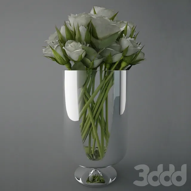 White Roses – 228699