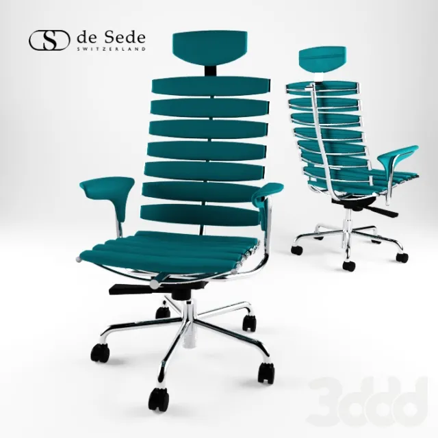 Скелет de sede – 238181