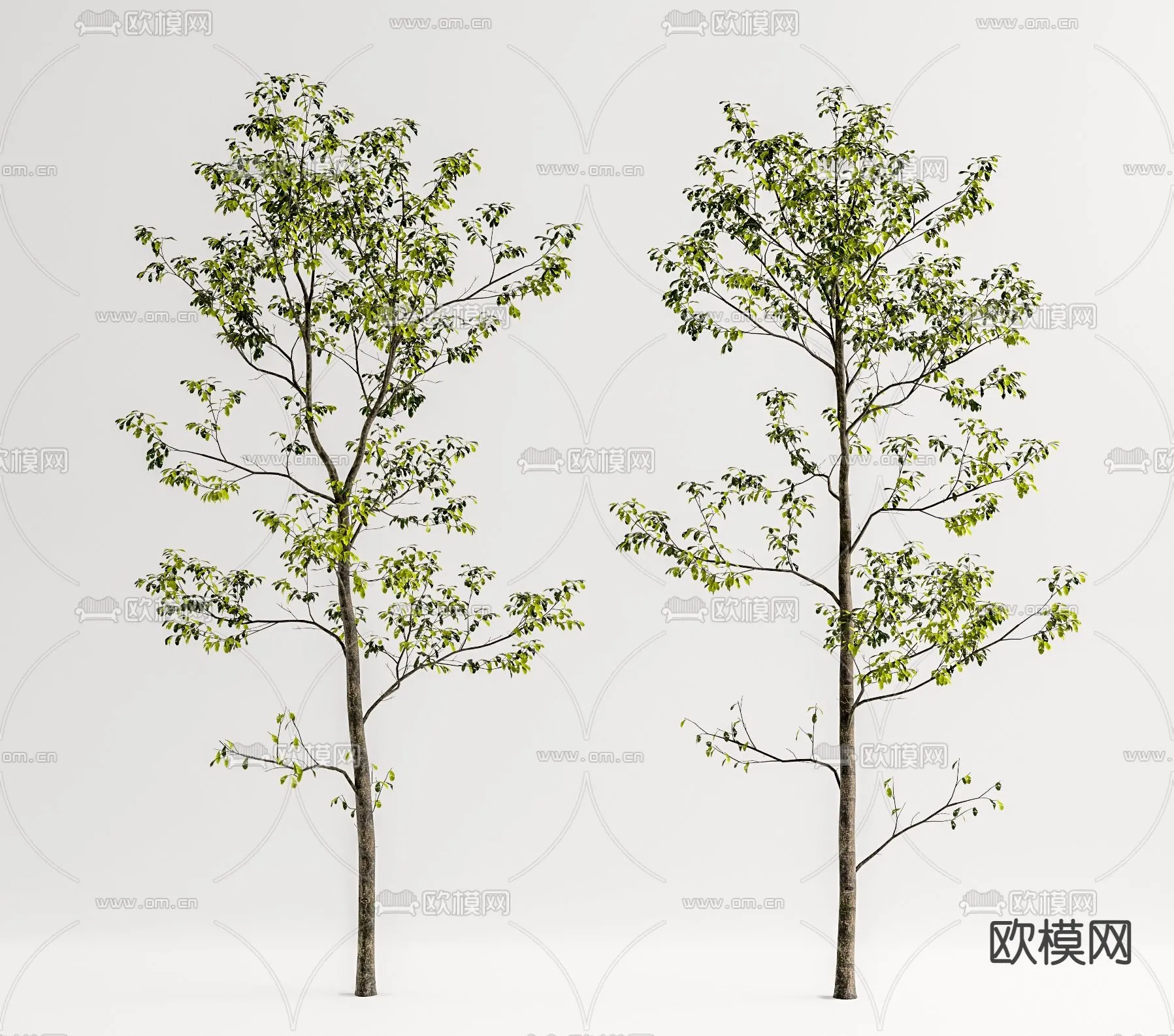 TREE - PLANTS - 3DS MAX MODELS - 104 - PRO - 3ds Max Files