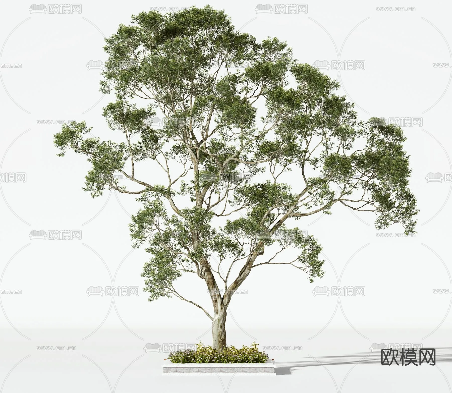 TREE – PLANTS – 3DS MAX MODELS – 124 – PRO