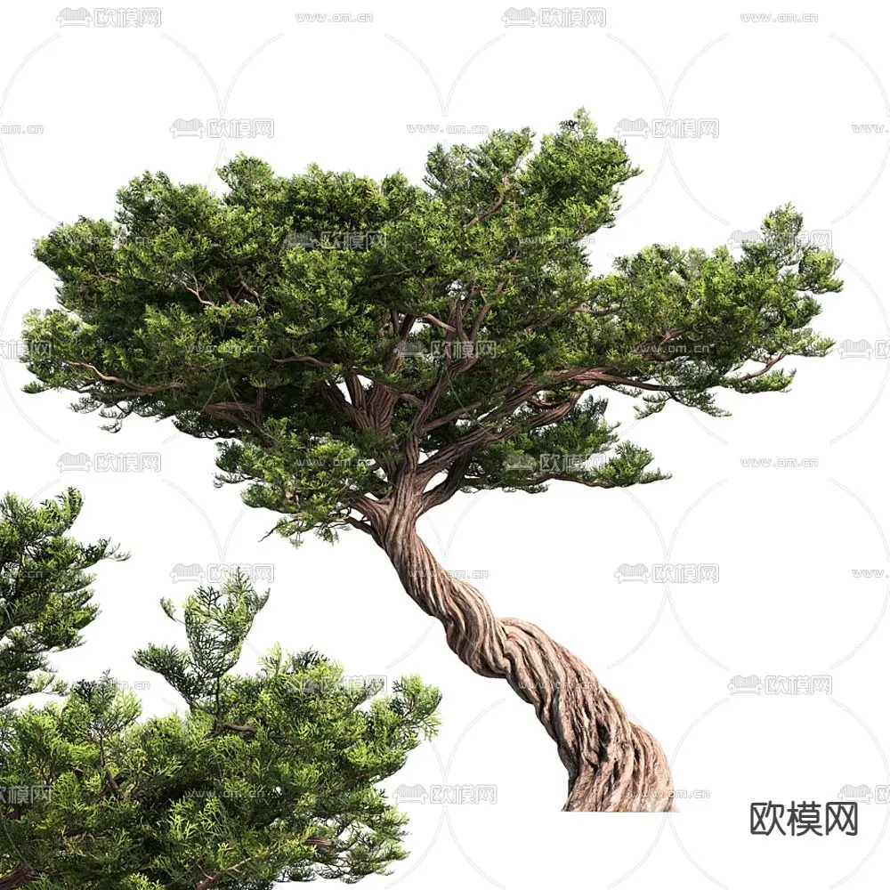 TREE – PLANTS – 3DS MAX MODELS – 126 – PRO