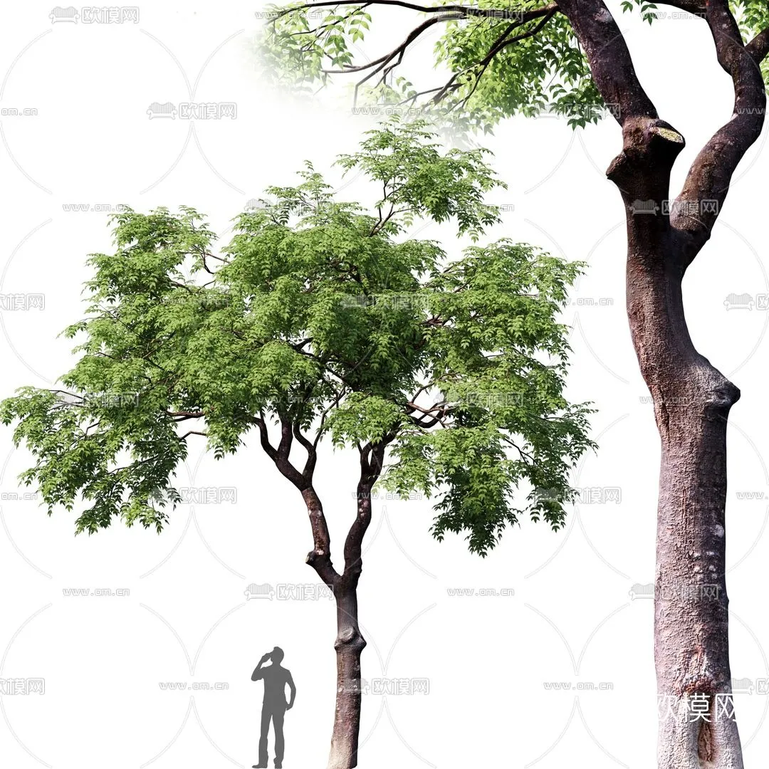 TREE – PLANTS – 3DS MAX MODELS – 131 – PRO