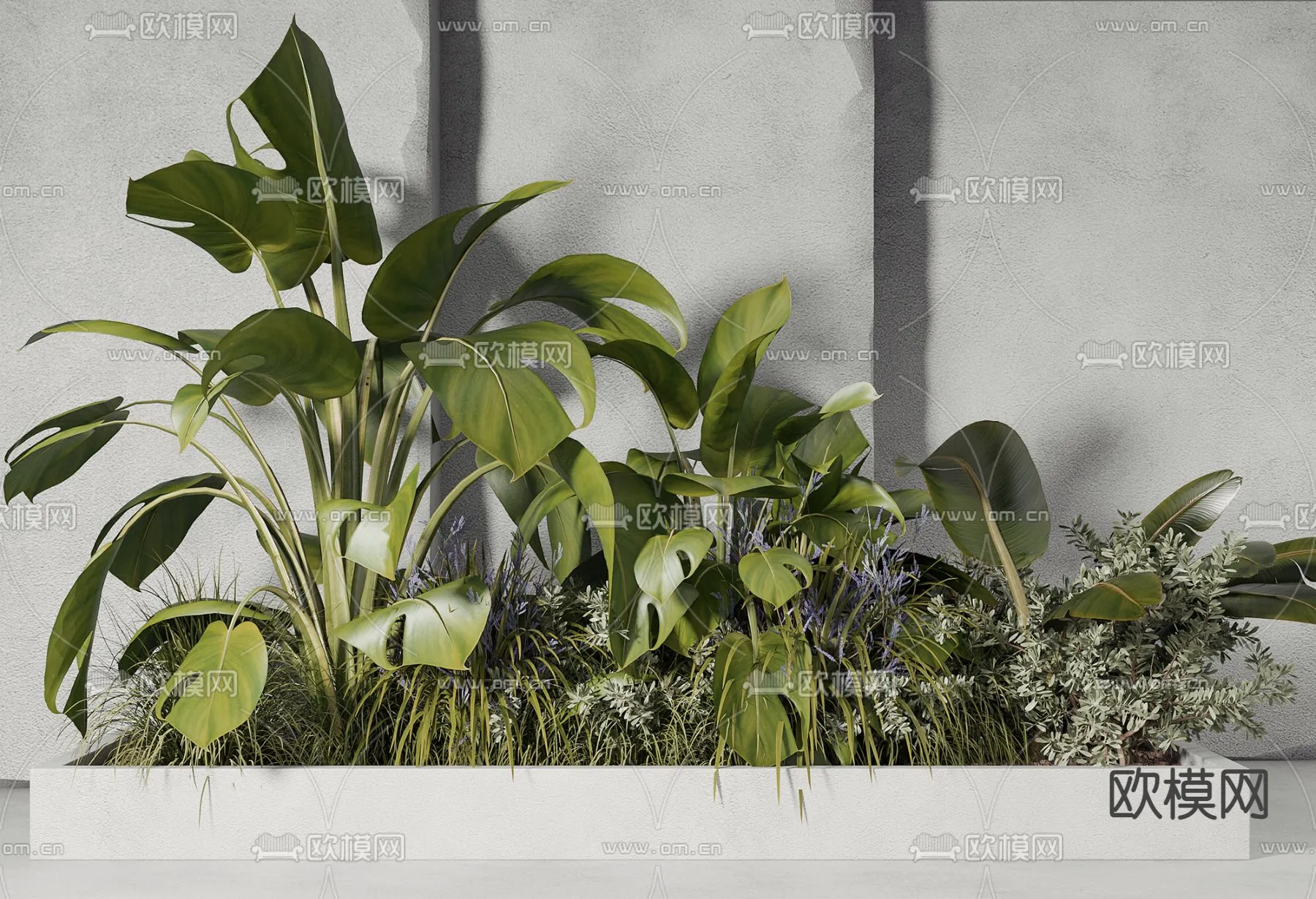 TREE – PLANTS – 3DS MAX MODELS – 159 – PRO