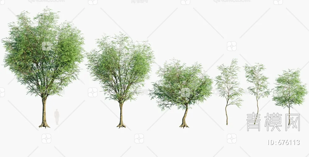 TREE – PLANTS – 3DS MAX MODELS – 244 – PRO