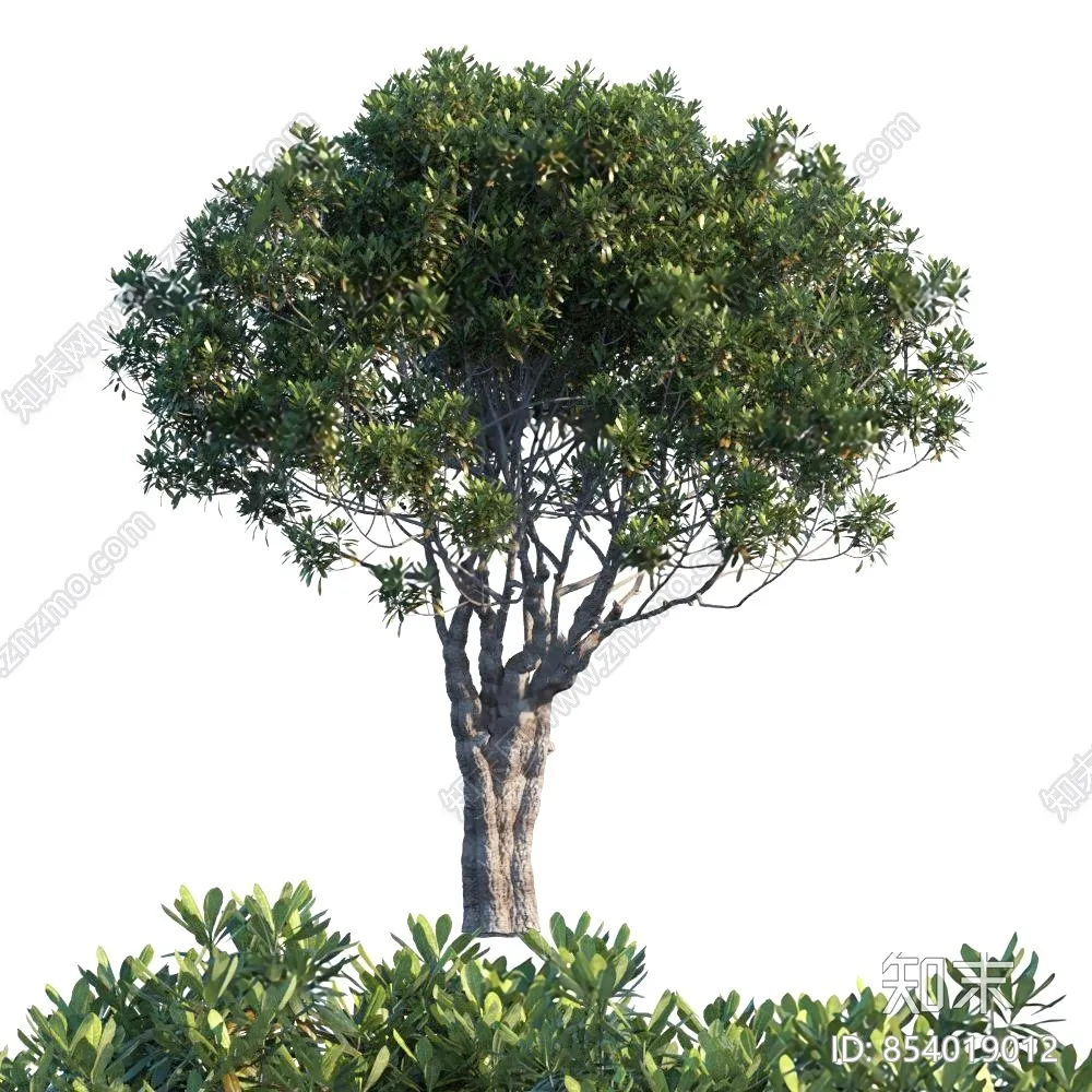 TREE – PLANTS – 3DS MAX MODELS – 273 – PRO