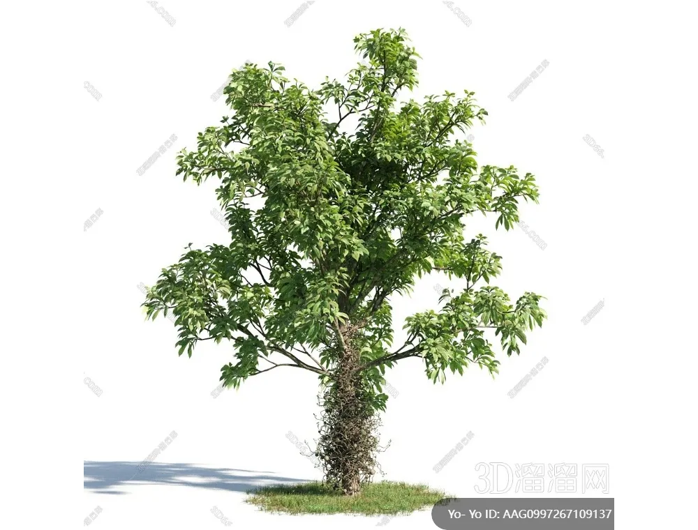 TREE – PLANTS – 3DS MAX MODELS – 280 – PRO