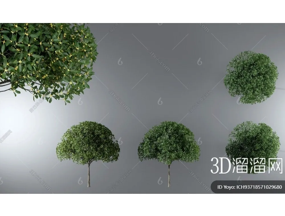 TREE – PLANTS – 3DS MAX MODELS – 297 – PRO