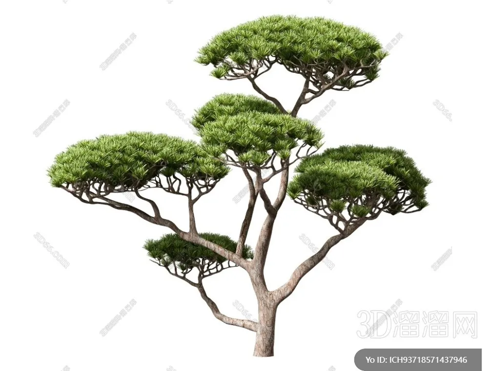 TREE – PLANTS – 3DS MAX MODELS – 299 – PRO