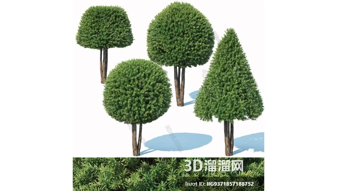 TREE – PLANTS – 3DS MAX MODELS – 311 – PRO