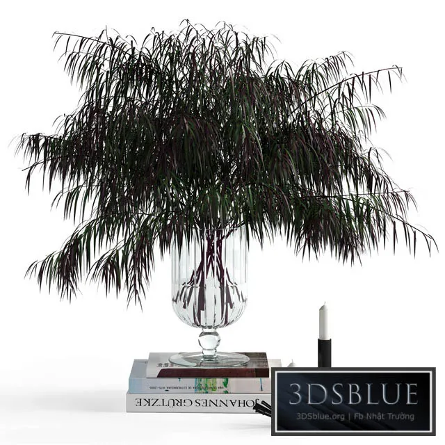 Agonis and candles 3DS Max - thumbnail 3