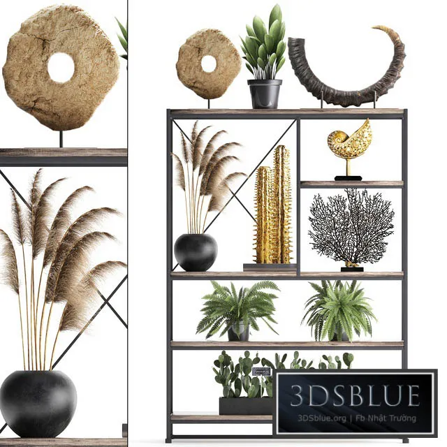 Decorative set 14. Decor shelf tusk pampas grass dried flower coral cactus fern rack loft decor 3DS Max - thumbnail 3