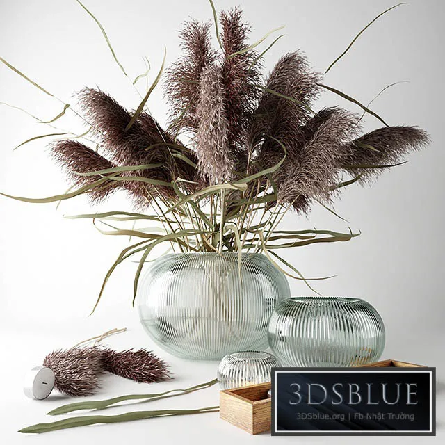 Bouquet of dry grass in a glass vase 3DS Max - thumbnail 3