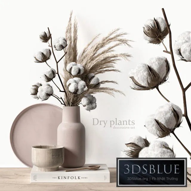 Decorative set with dry plants 5 3DS Max - thumbnail 3