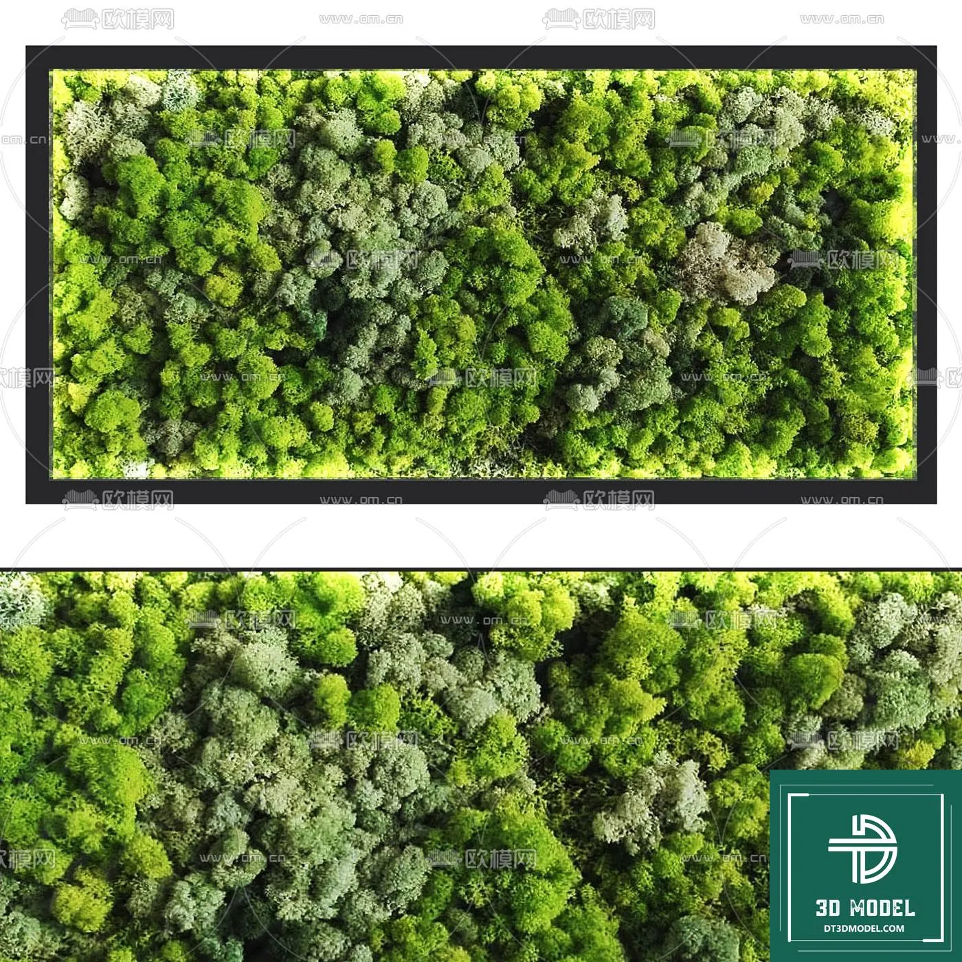 VERTICAL GARDEN – FITOWALL PLANT 3D MODEL – 005