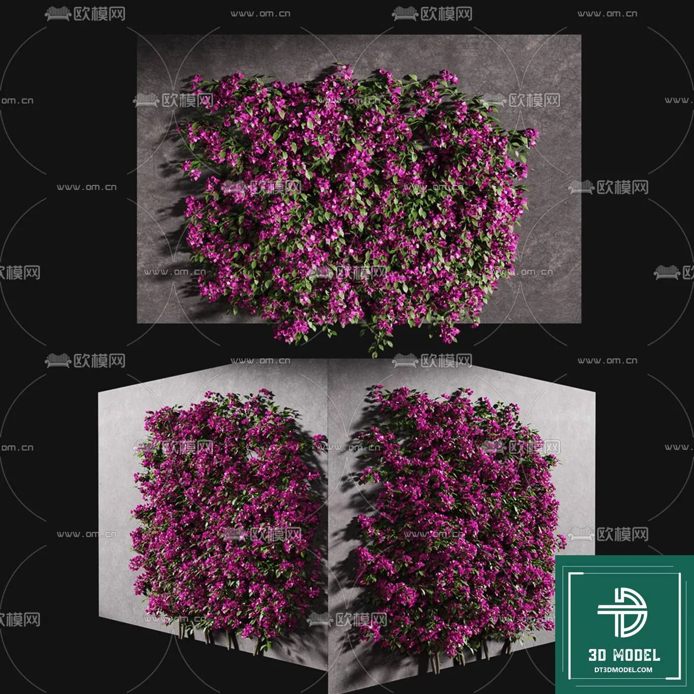 VERTICAL GARDEN – FITOWALL PLANT 3D MODEL – 018