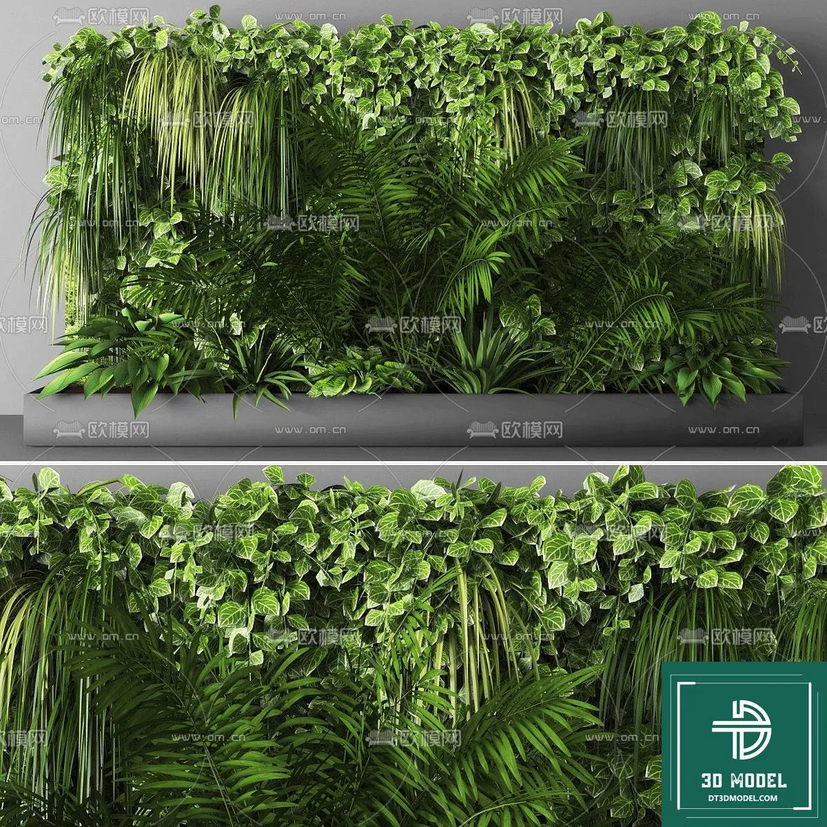 VERTICAL GARDEN – FITOWALL PLANT 3D MODEL – 020