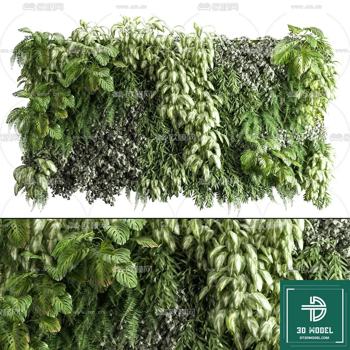 VERTICAL GARDEN – FITOWALL PLANT 3D MODEL – 047