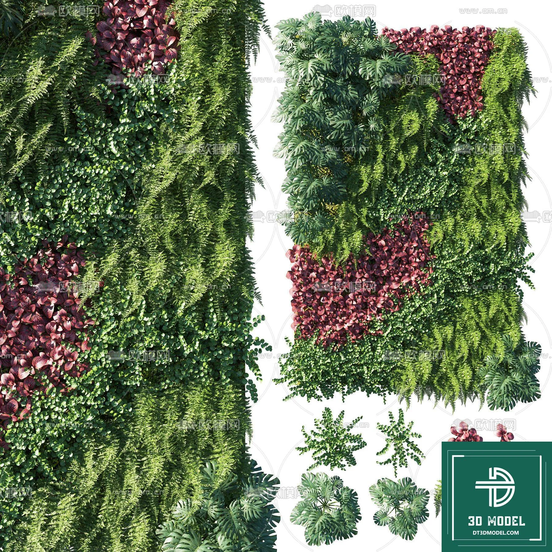 VERTICAL GARDEN – FITOWALL PLANT 3D MODEL – 078