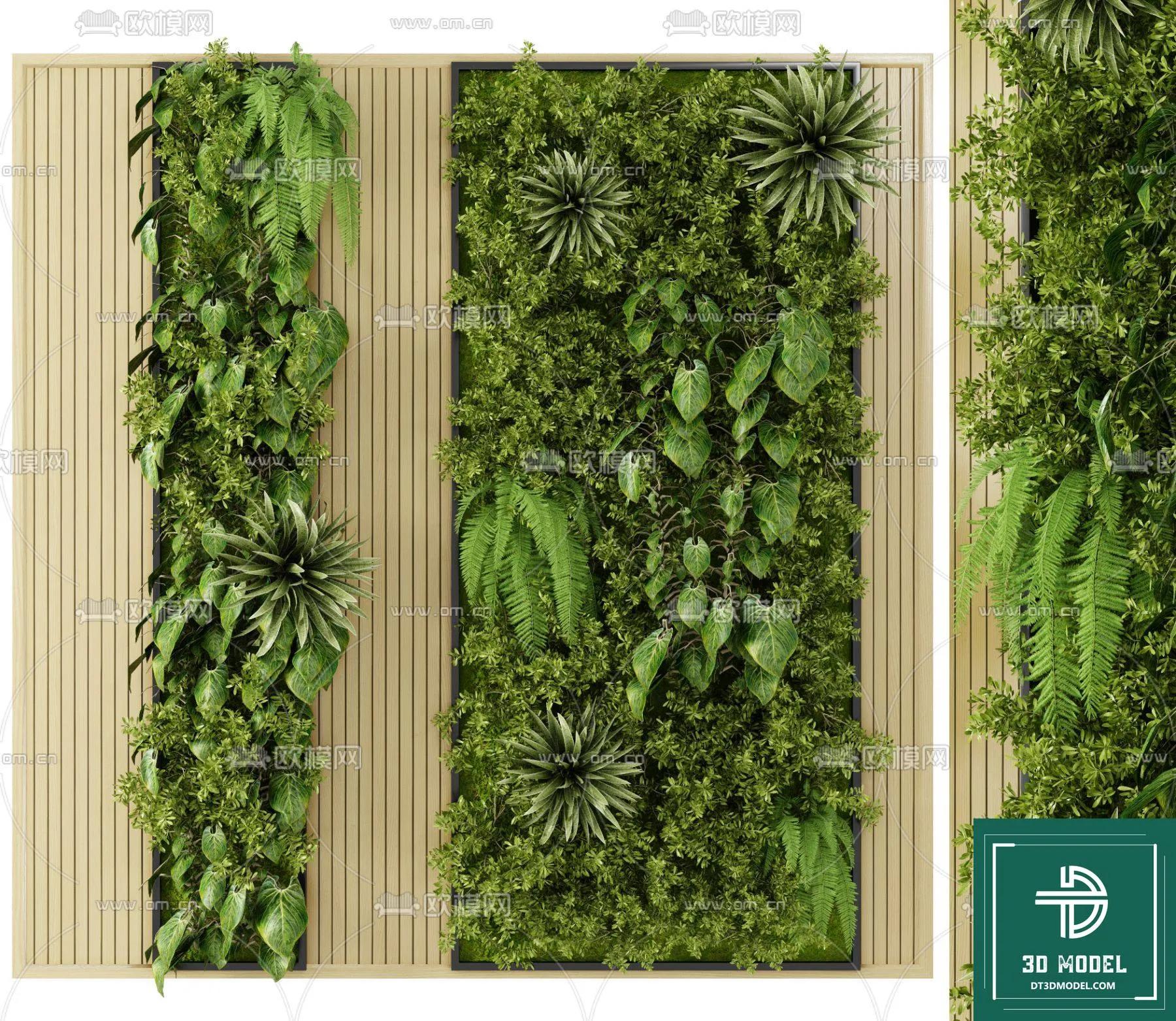VERTICAL GARDEN – FITOWALL PLANT 3D MODEL – 125