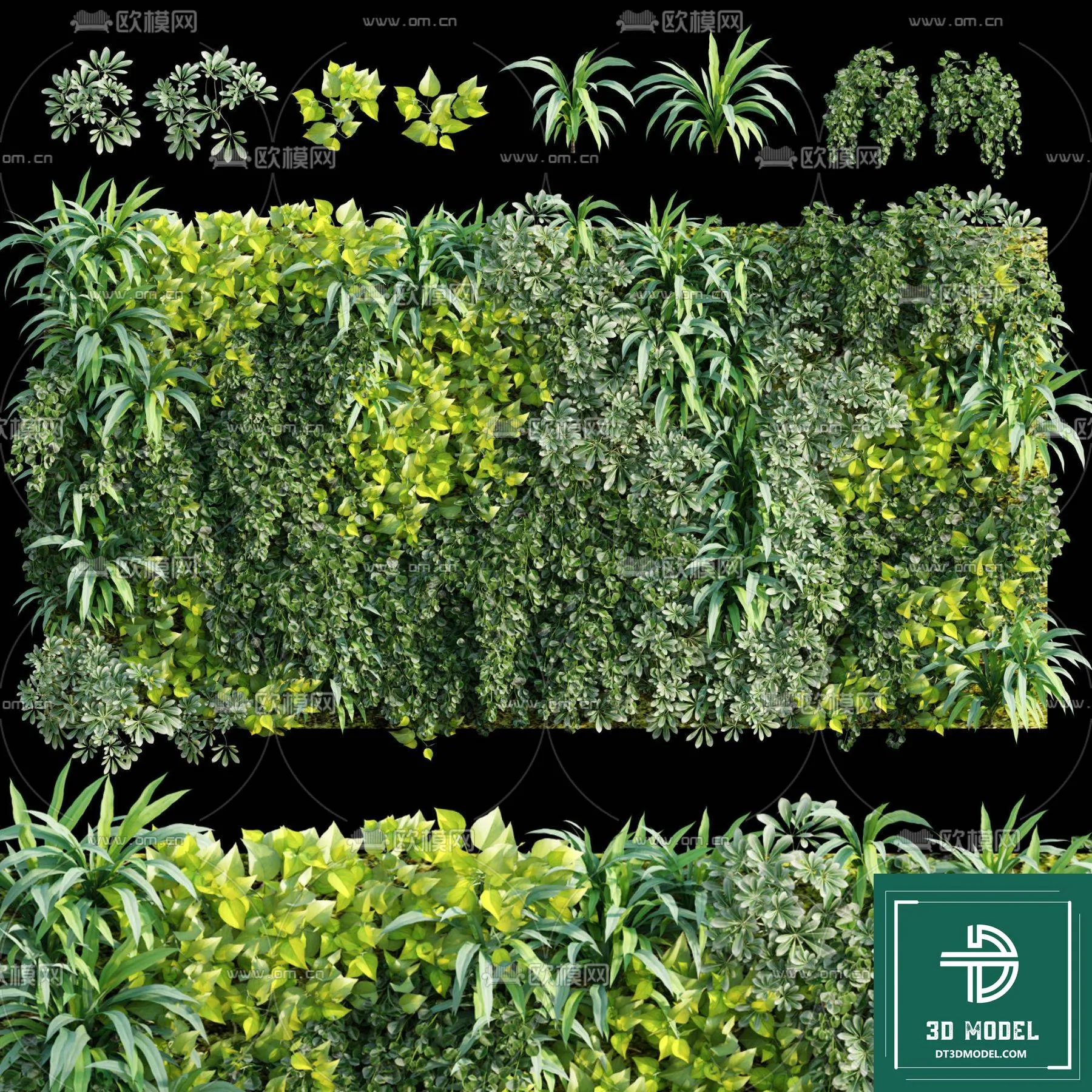 VERTICAL GARDEN – FITOWALL PLANT 3D MODEL – 133