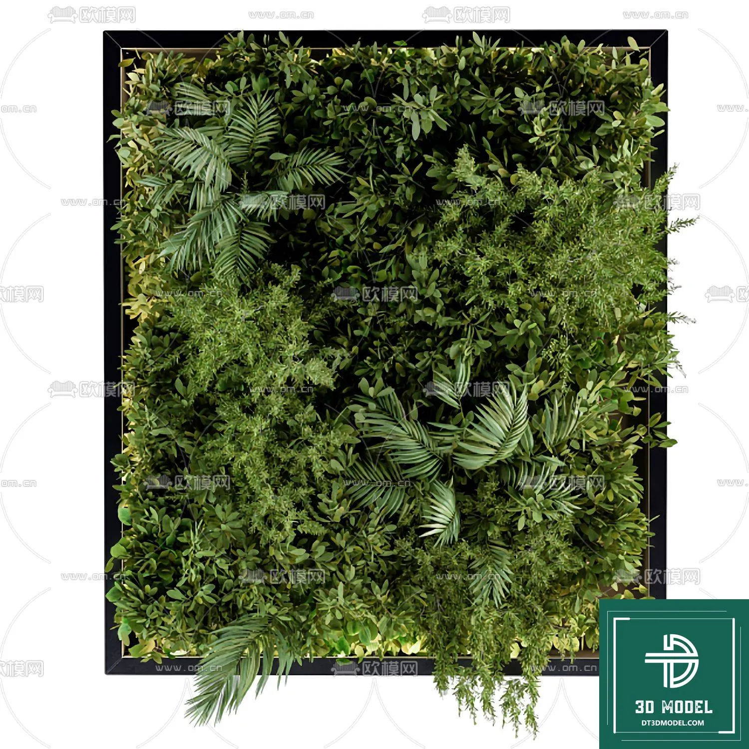 VERTICAL GARDEN – FITOWALL PLANT 3D MODEL – 139